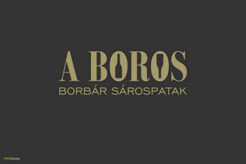 Logo design for Boros Borbár Sárospatak