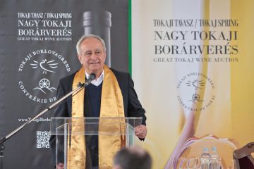 Great Tokaj Wine Auction 2017 - event photography