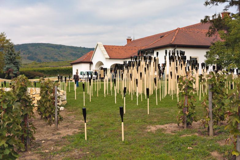 Eseményfotózás Tokaj-hegyalján - Patricius Tokaj "Tervezz borospalackkal"